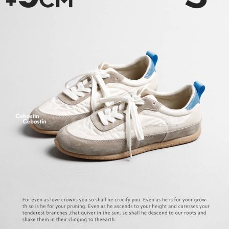 【腹肌商店】休闲鞋 复古拼色3cm内增高版德训鞋女百搭运动鞋春季