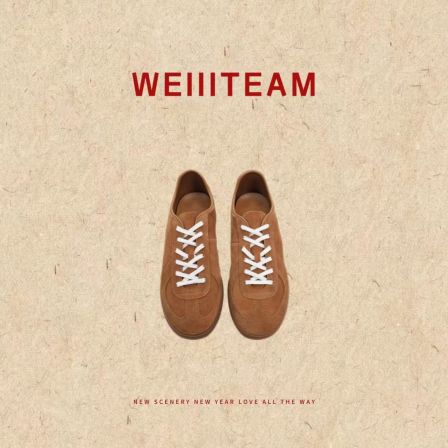 WEIIITEAM "栗棕" 撞色系带反绒皮德训鞋 Q8183