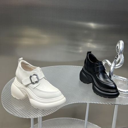 2026新款尖头欧美风内增高复古单鞋女小众厚底乐福松糕鞋DG5185-3