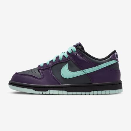 NIKE耐克大童鞋NIKE DUNK LOW (GS)运动休闲鞋FB9109-013