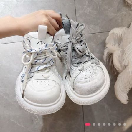 网面流浪鞋带春夏季新款百搭酷炫潮流时尚老爹低帮单鞋