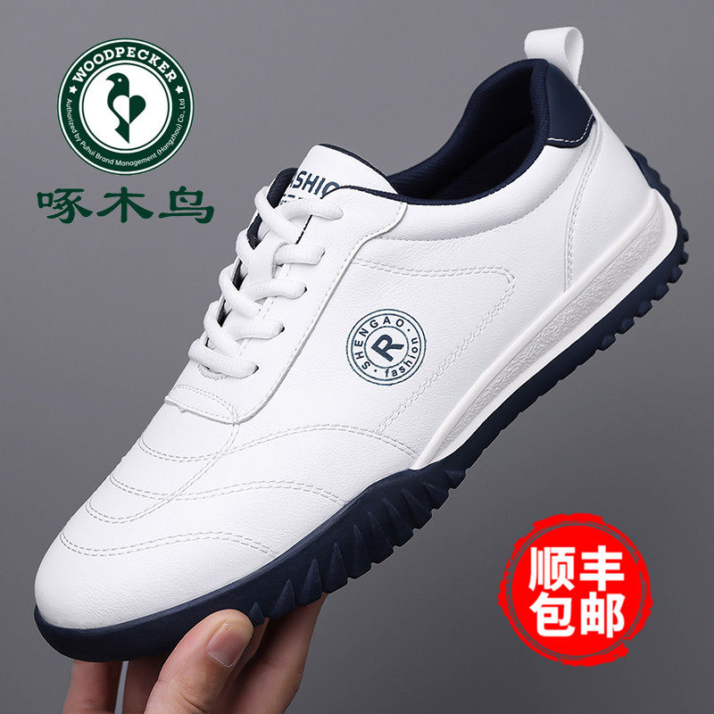 啄木鸟男鞋春季新款软底运动休闲鞋子男户外百搭旅游鞋男英伦鞋潮主图