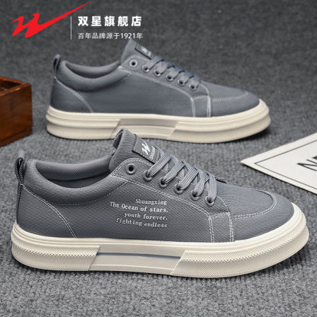 双星帆布鞋男鞋春季2026新款青少年学生休闲板鞋运动百搭工作潮鞋