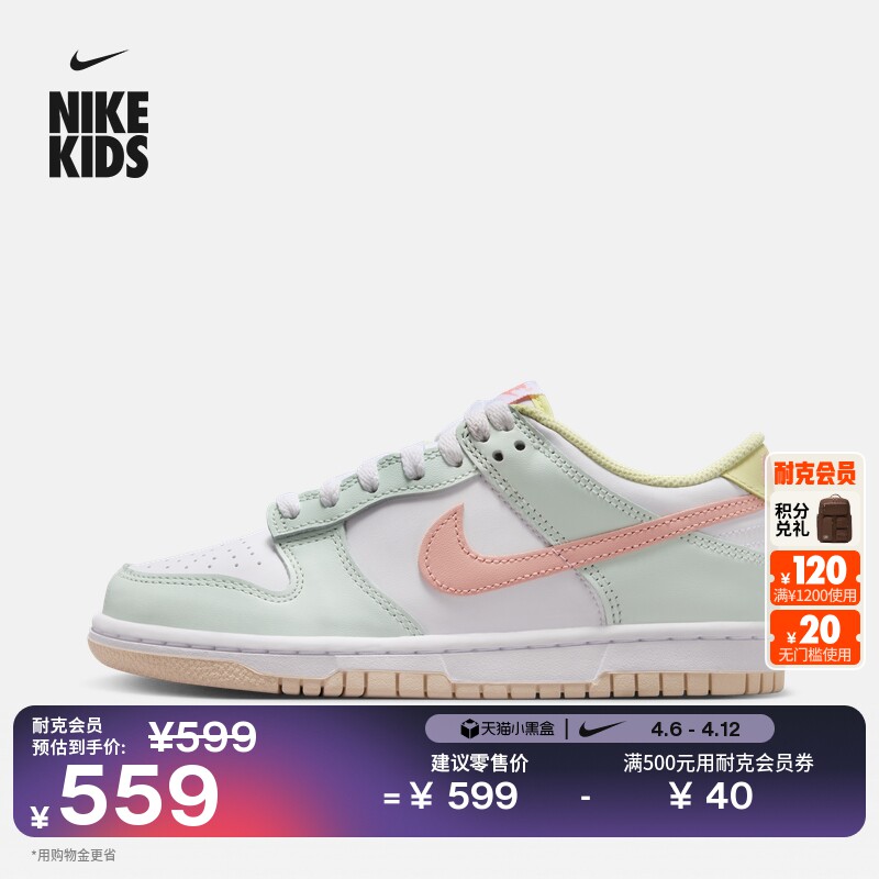 耐克大童平底运动鞋夏季新款男女童胶底低帮板鞋NIKE DUNK IV2861主图