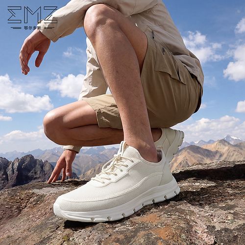 EMZ【商场同款】男子低帮经典运动休闲鞋舒适耐磨系带运动休闲鞋男主图