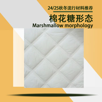 24秋冬流行材料推荐-棉花糖形态封面图