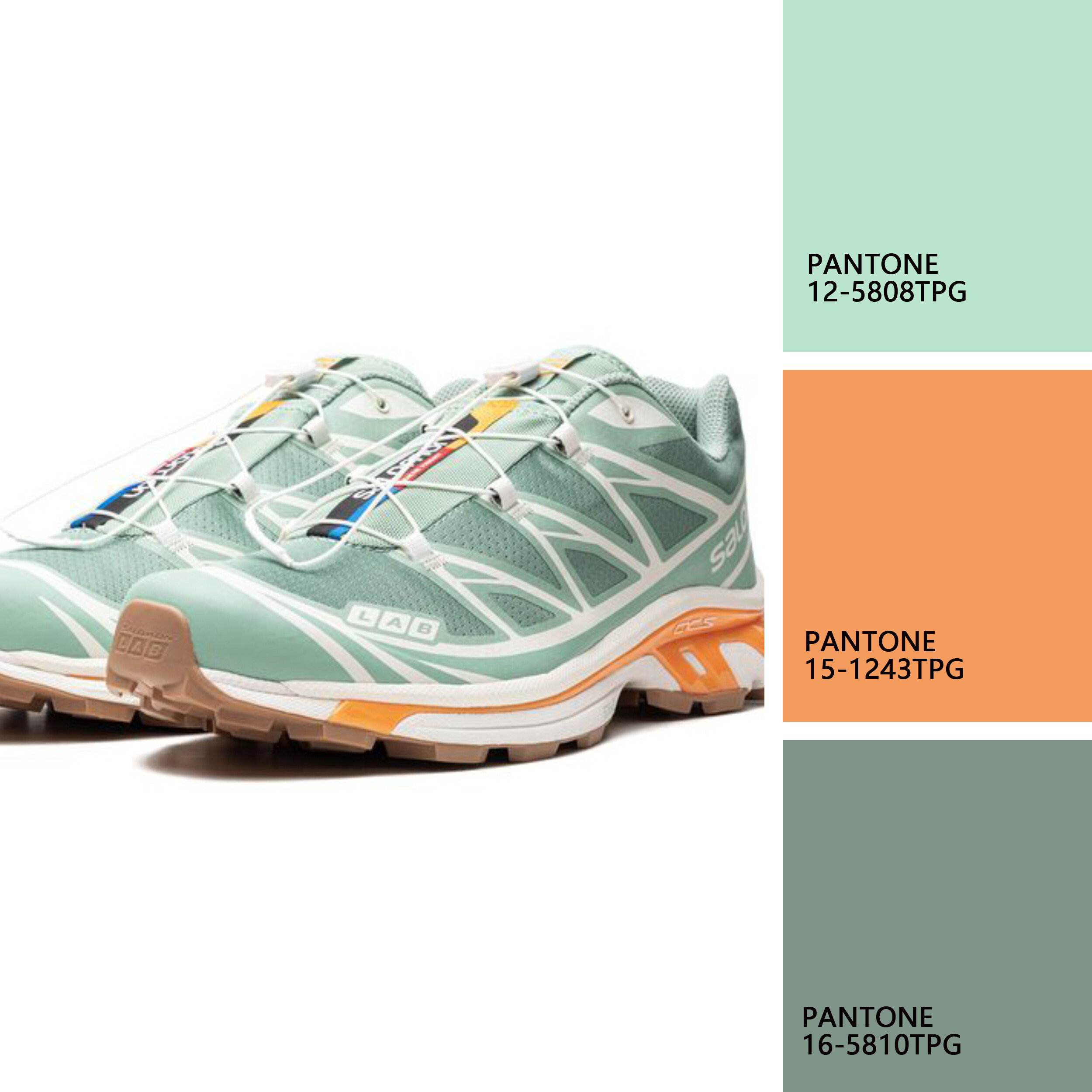 活力橙-  煦风轻语色卡大图