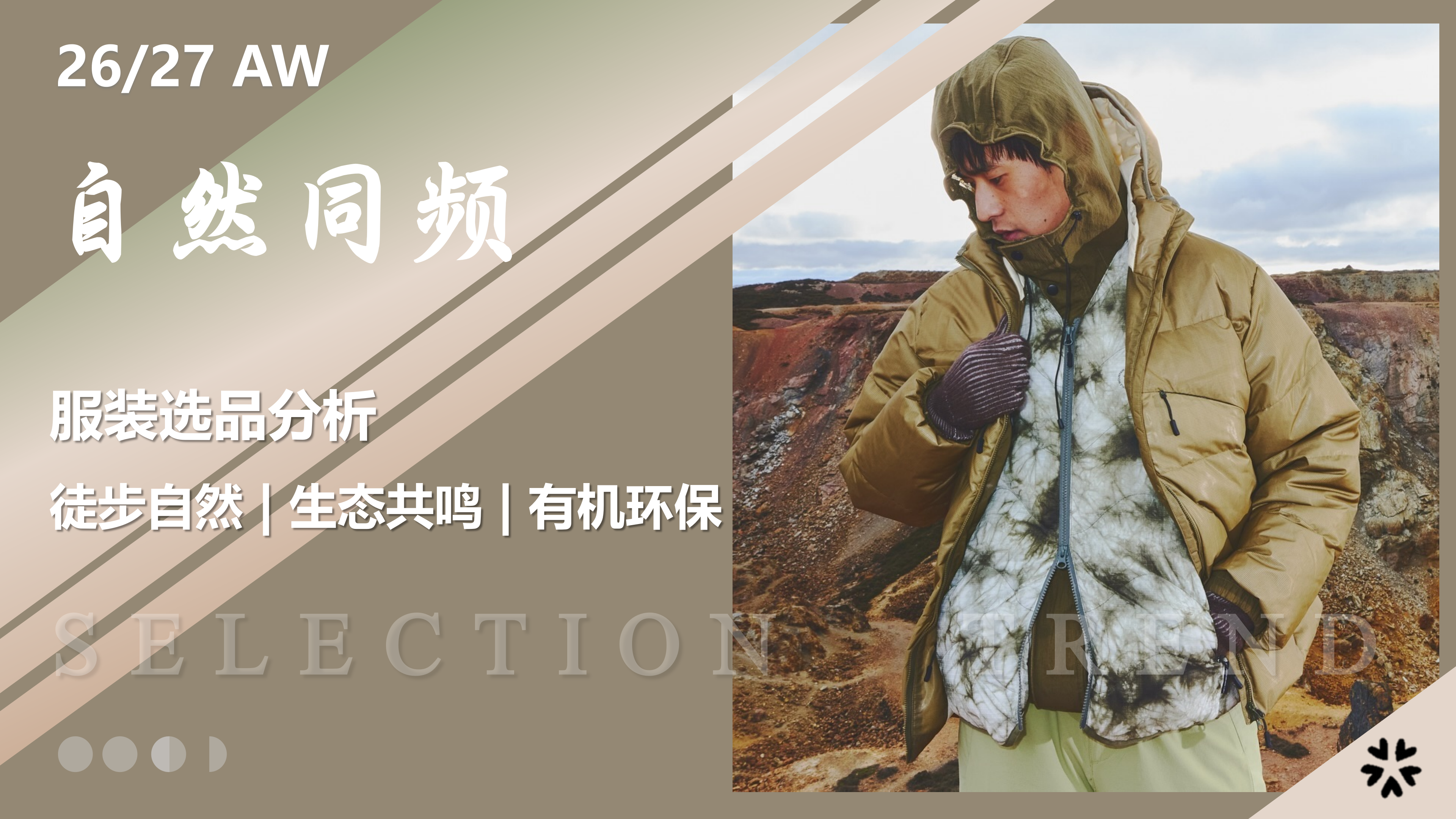 2627秋冬服装选品自然同频图片