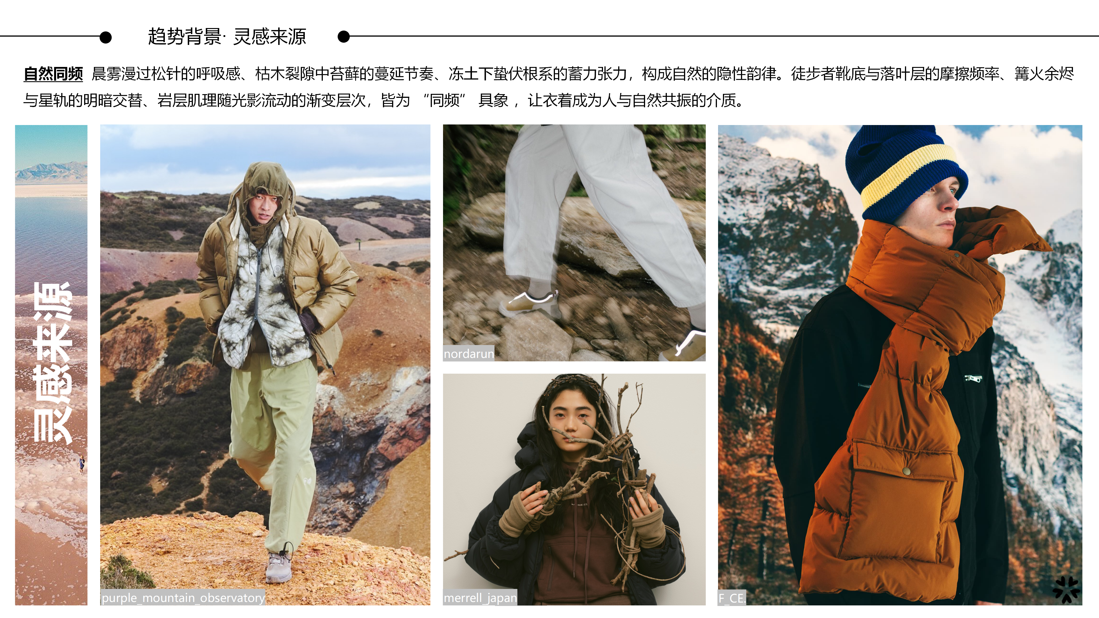 2627秋冬服装选品自然同频图片