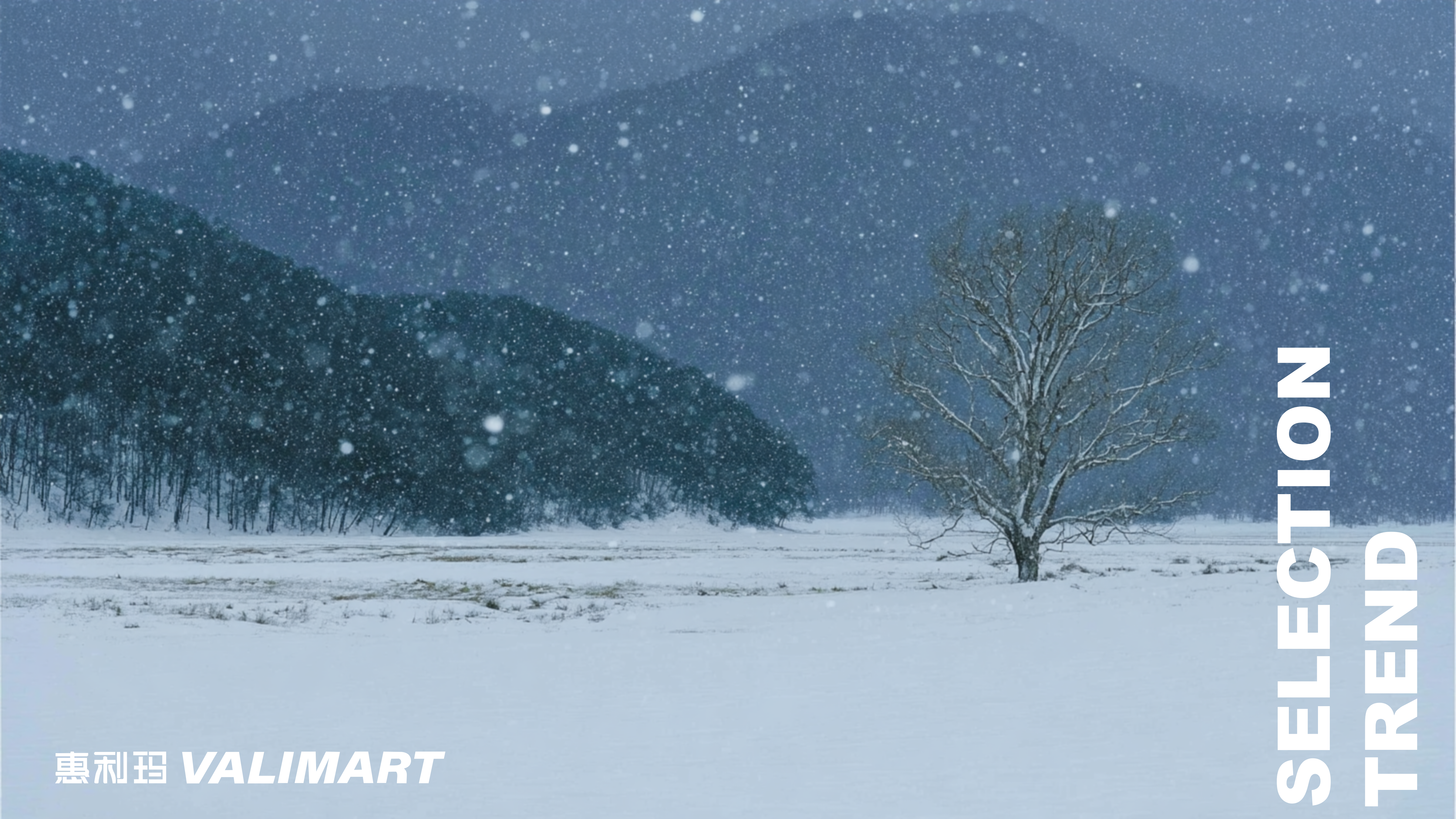 2627秋冬服装选品旷野疗愈图片