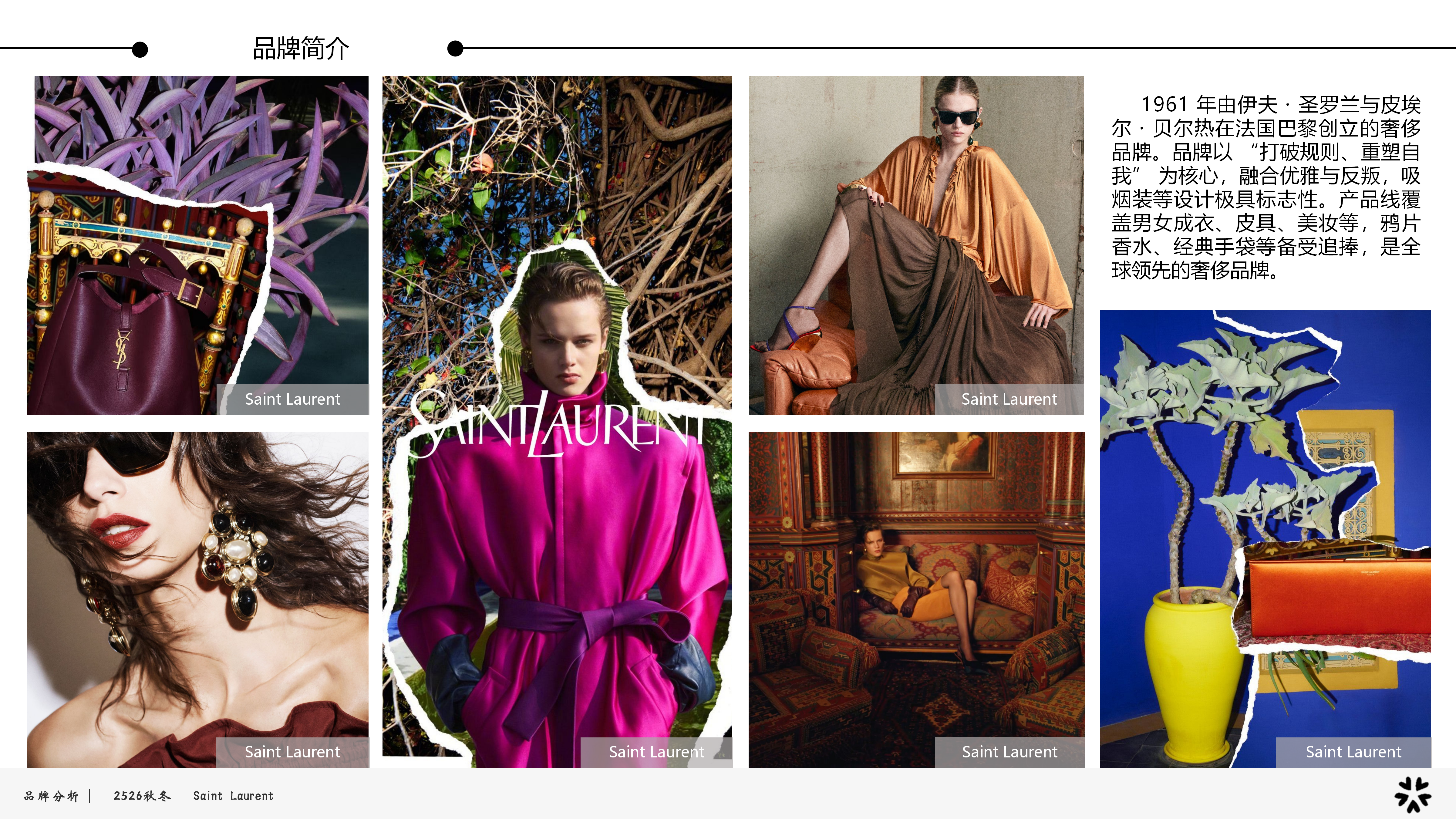 2526秋冬品牌分析YSL图片