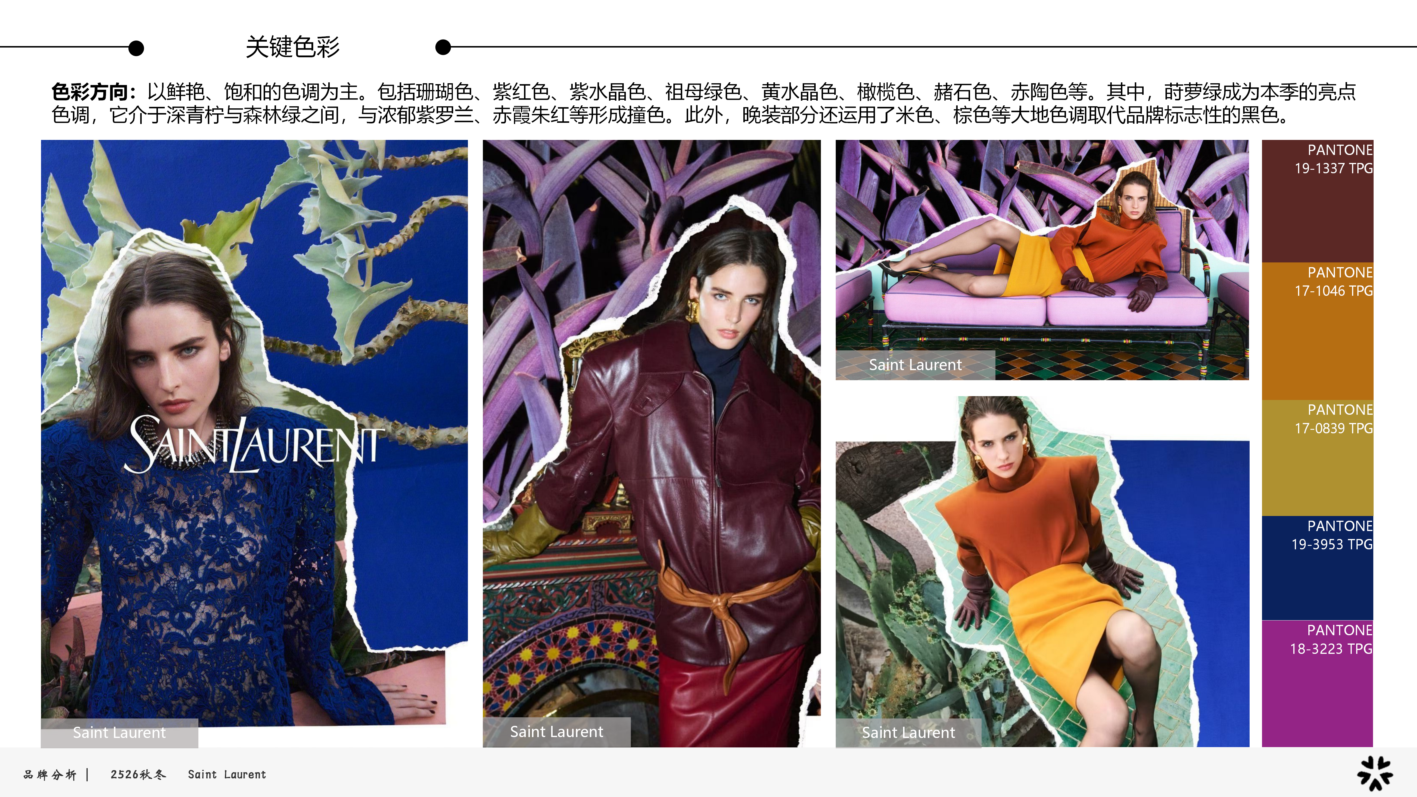 2526秋冬品牌分析YSL图片