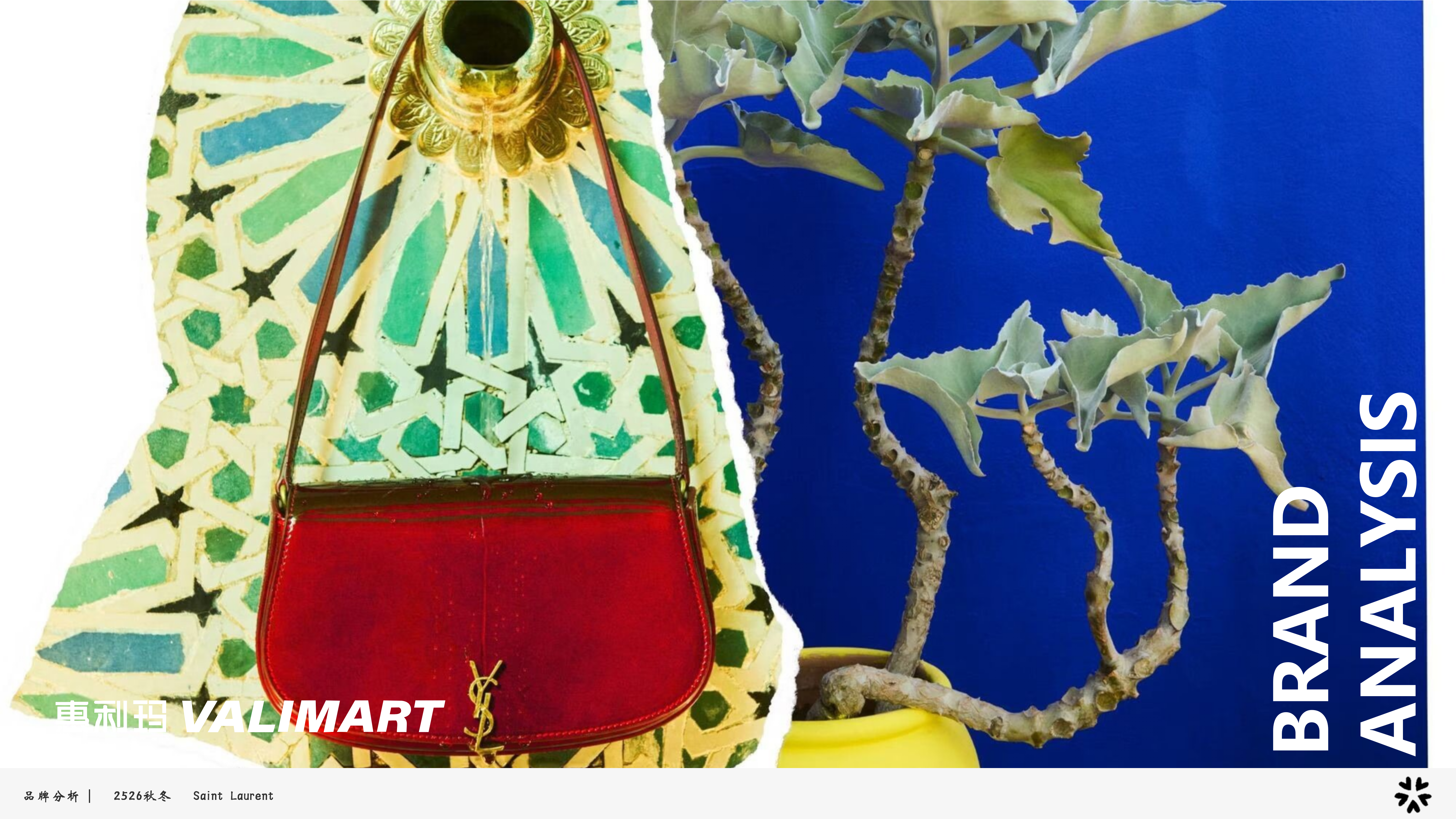 2526秋冬品牌分析YSL图片
