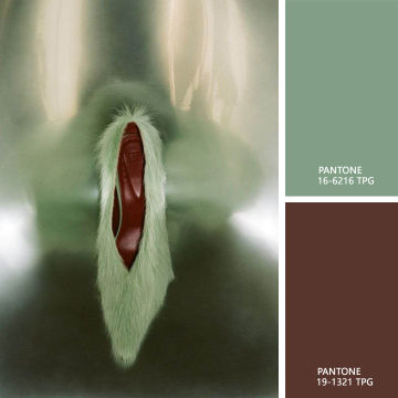 罗香叶色卡缩略图